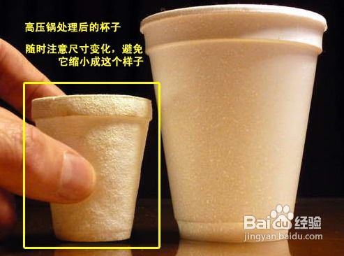 巧手匠心 将一次性泡沫塑料杯变身为创意花瓶